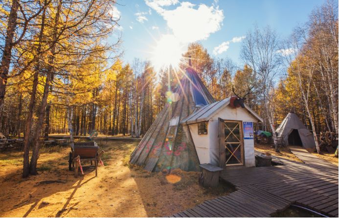 土拨鼠宠物怎么样养,土拨鼠宠物建议养吗