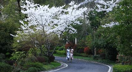 香格里拉经典风景,香格里拉自然风景