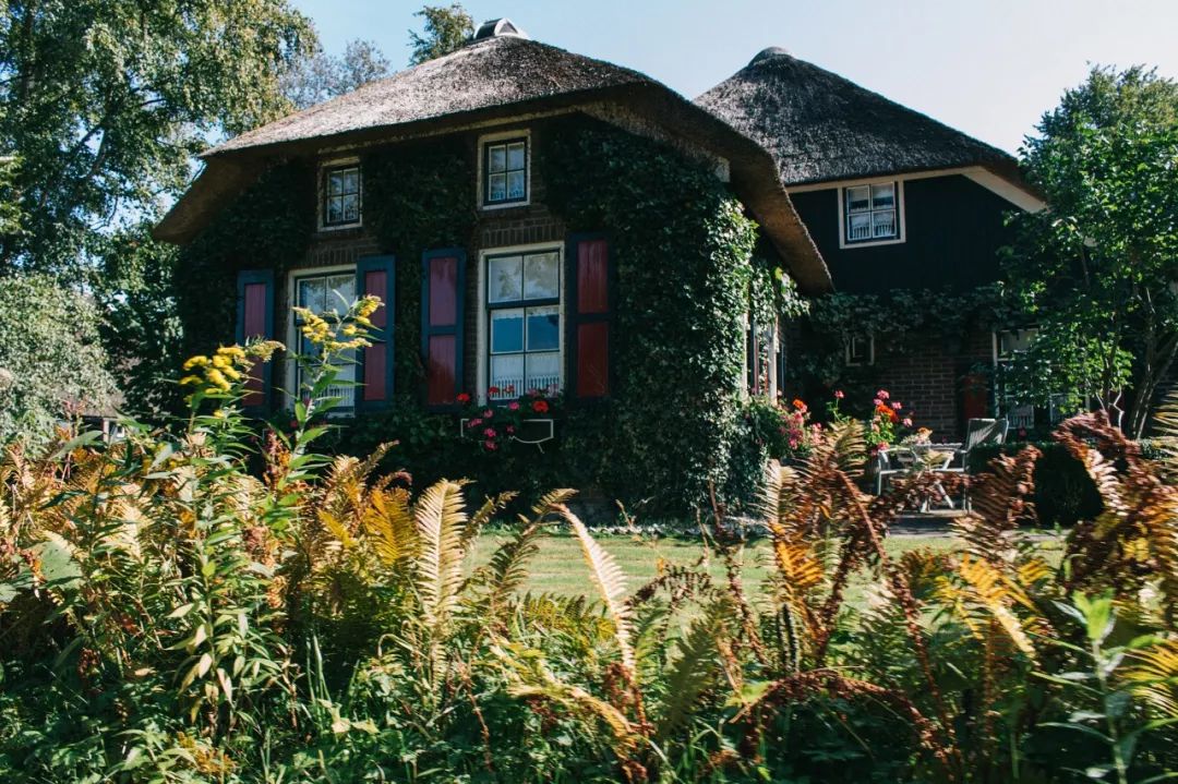 你知道什么才叫真正生活吗,你知道什么是真正的生活吗