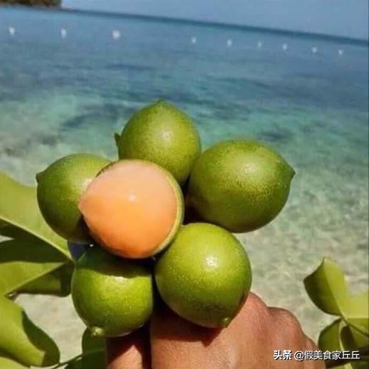 世界最贵水果排行榜前十名,世界上最贵的水果是什么