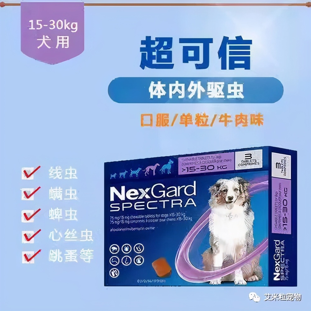 猫咪内驱虫的正确方法,狗狗驱虫和猫咪驱虫
