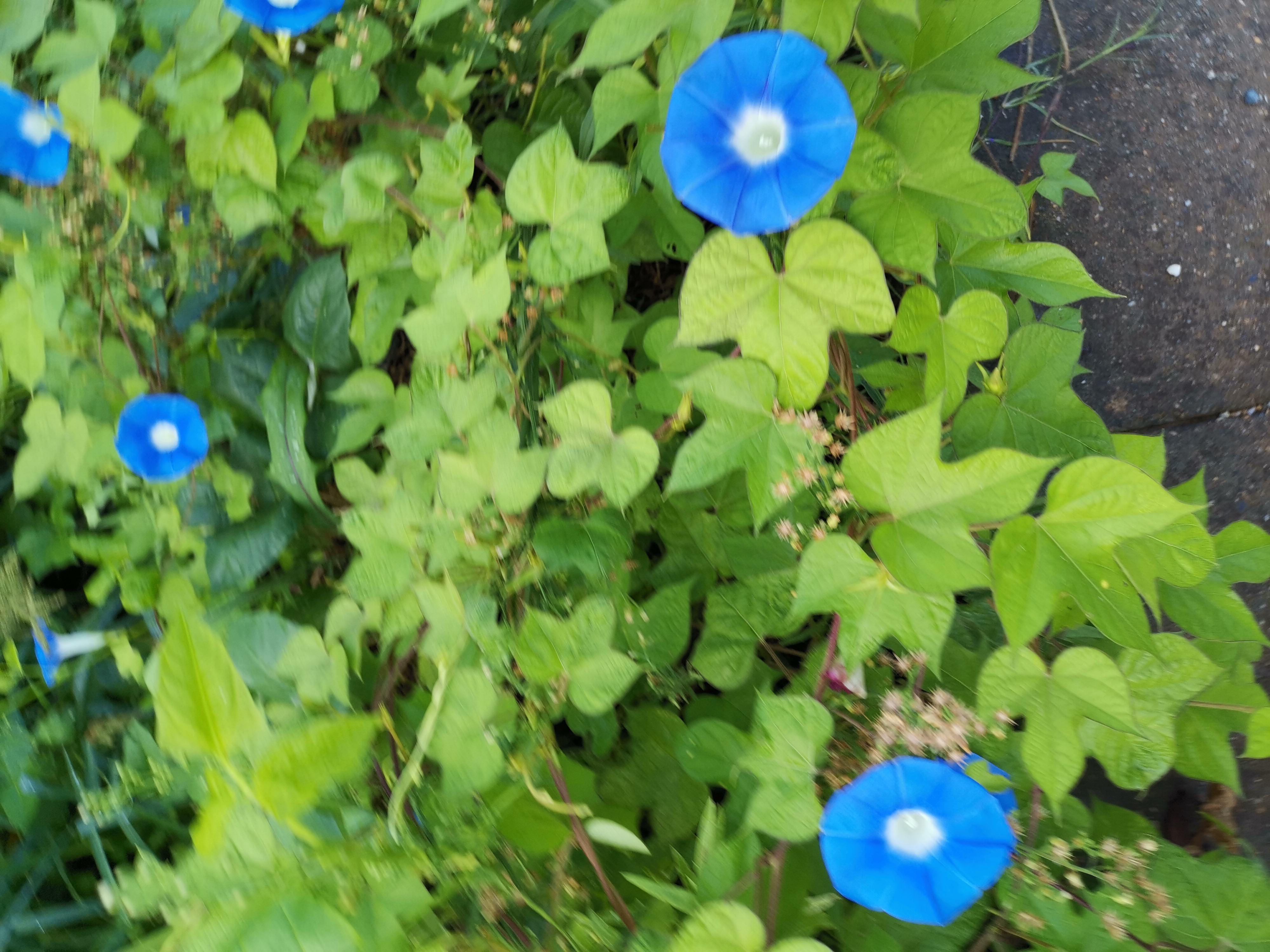 宇宙探索对于人类发展的思考,人类的智慧能否认清宇宙的本质