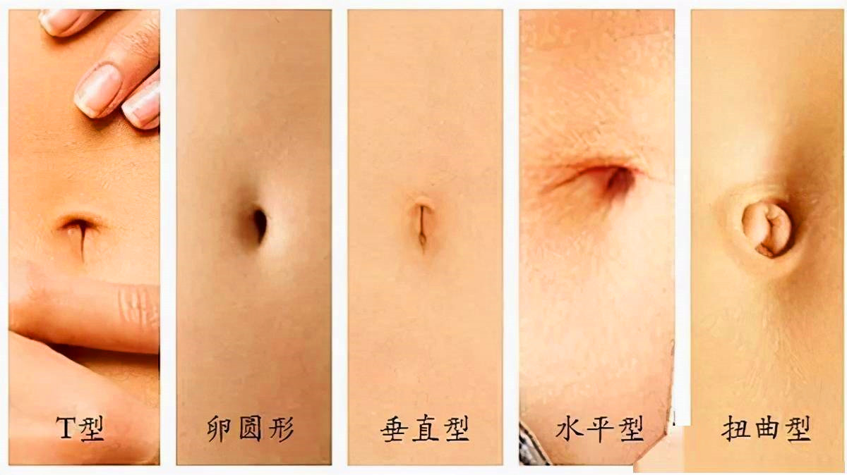 肚脐眼里的泥用显微镜放大,肚脐眼用显微镜放大1000倍