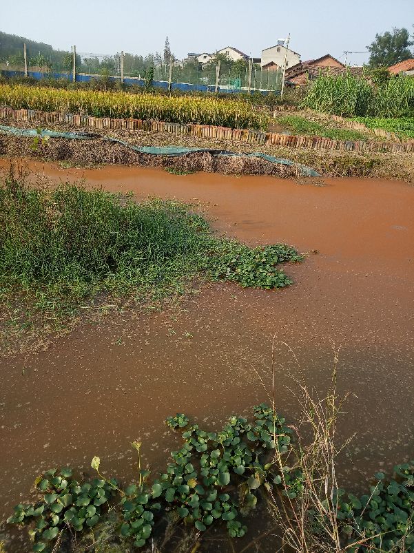 现在农村嫁来的媳妇和新生小孩没有田，去世的农民有田，开会吵架