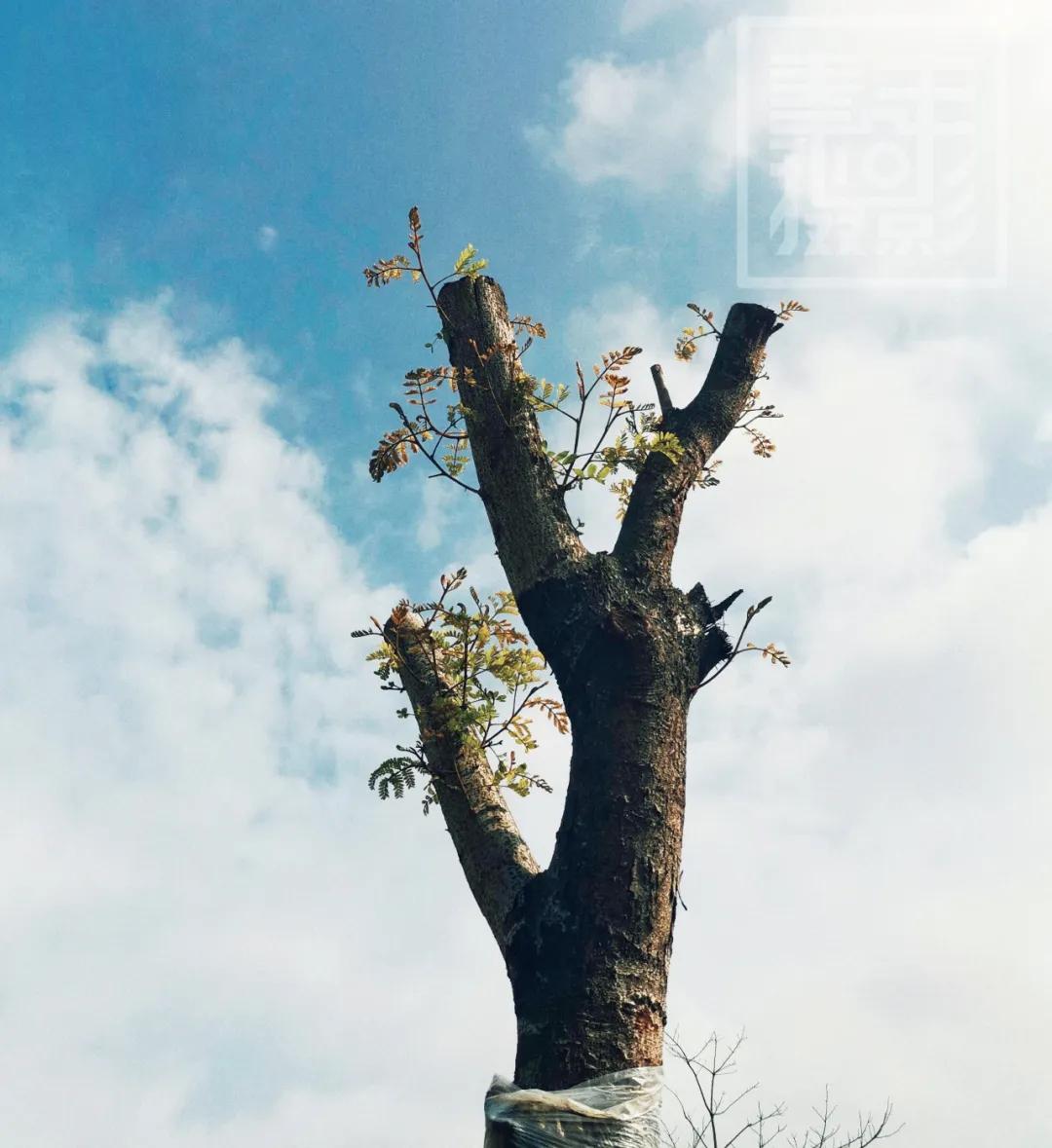 废片不要着急扔,废片要删掉吗