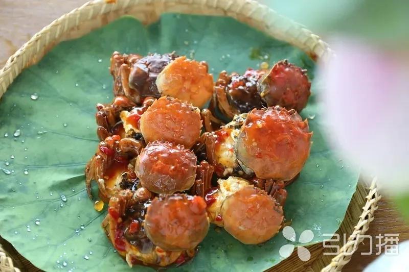 苏州春天第一鲜上市,苏州6月份美食推荐