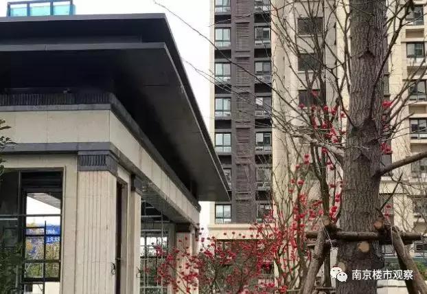 10盘迎来交付大考，实景谍照流出！这品质…