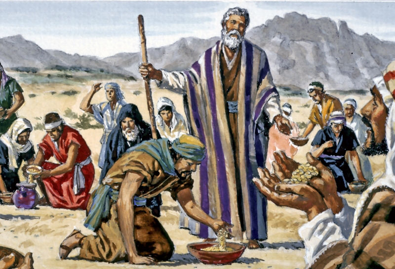 以色列人真正的犹太人,犹太人和以色列人之间的关系