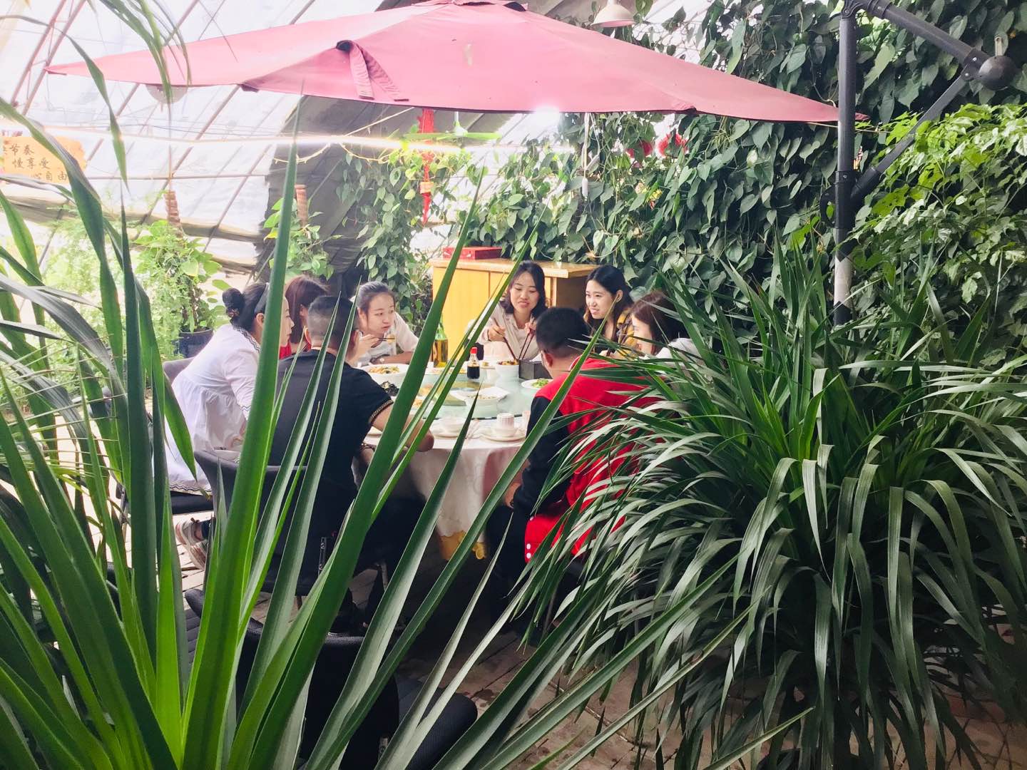 金色阳光幼儿园视频,金色阳光幼儿园有限公司