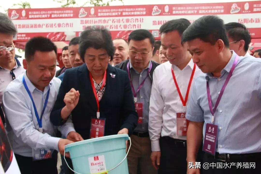 潜江稻田小龙虾产量,虾稻米产量