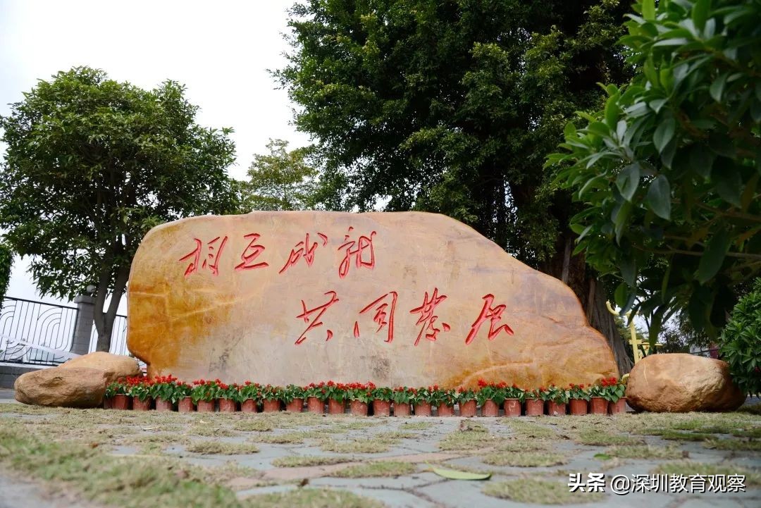 走名校vol.14|西乡中学:50年,我们专注做一件事