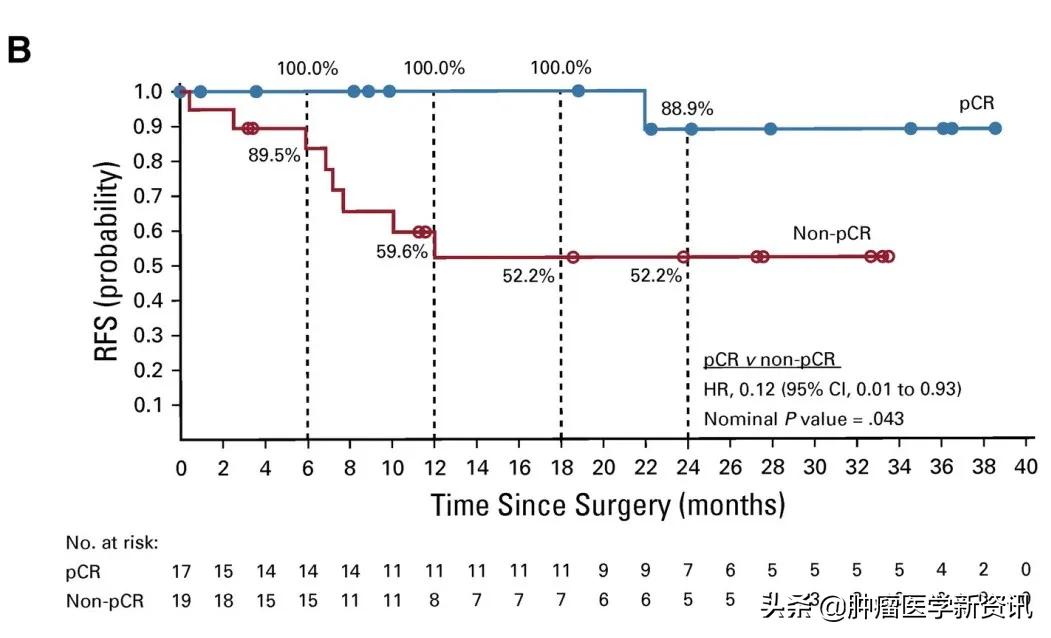 免疫疗法是癌症治疗最后的手段吗？应该在术前还是术后使用？