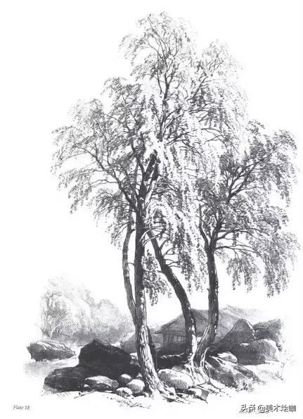 静物素描风景图临摹,简单又好画的彩铅素描风景图