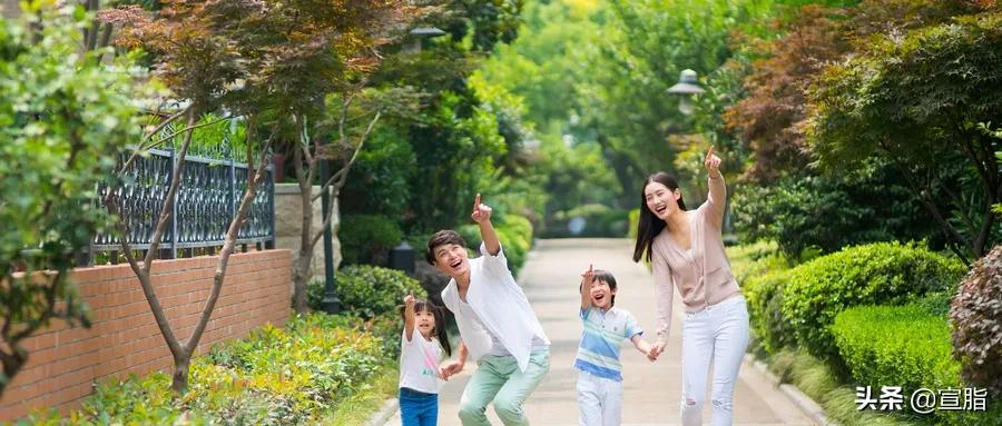 容易被撞脸的中国汉字,汉字里的孪生姐妹你能区分清楚吗