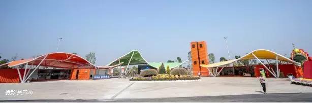 小榄菊花展团购,小榄菊花会2020门票