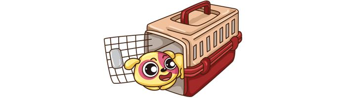 每天都把狗关在笼子里,狗狗都养笼子里面吗