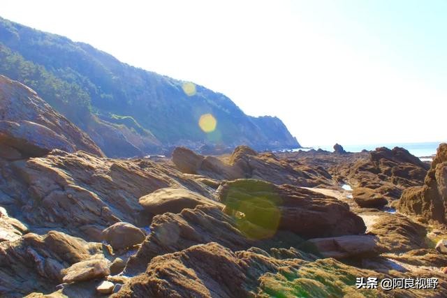 庄河黑岛名人,庄河黑岛沈屯