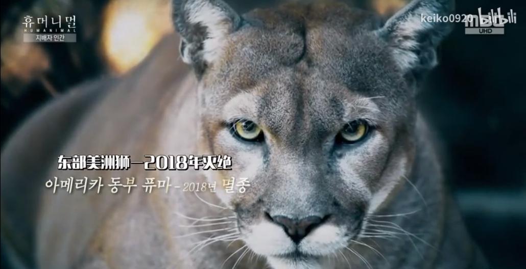 15岁怀孕，她被骗吃下*药炸**，一尸两命：有些人，这辈子不配为人