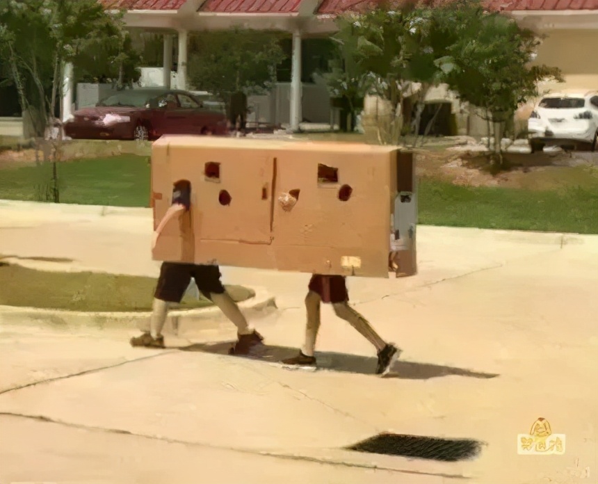 三伏天喝羊奶好吗,伏天喝羊奶有哪些好处