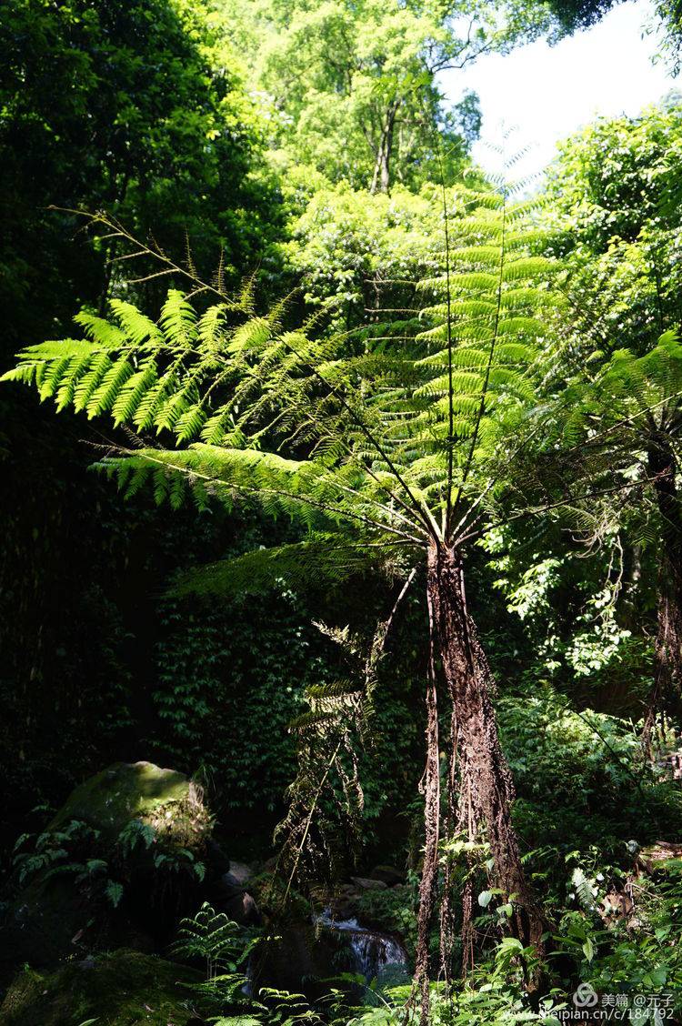 难忘贵州歌曲筒谱,难忘贵州歌曲