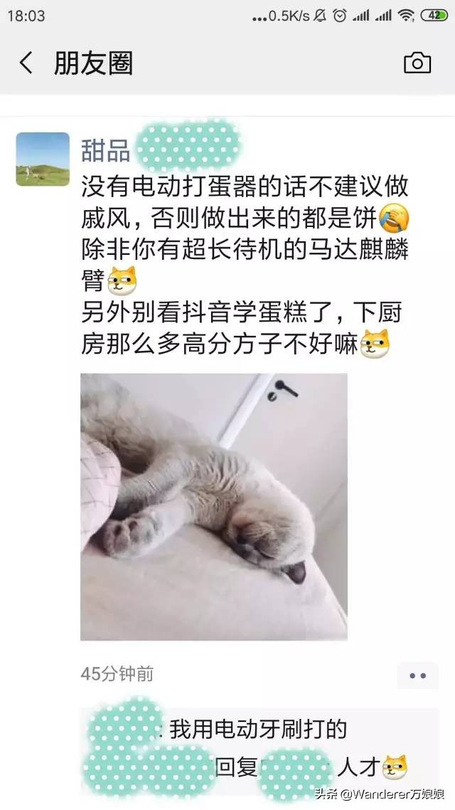 多亏这些宝藏网友，让我笑到免疫力增强