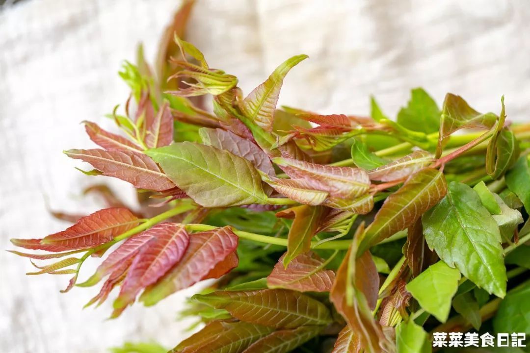 等了一年，终于吃上了！这个春天无憾了