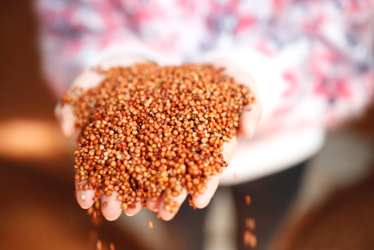 什么样的坤沙酒最好,白酒小知识图片大全