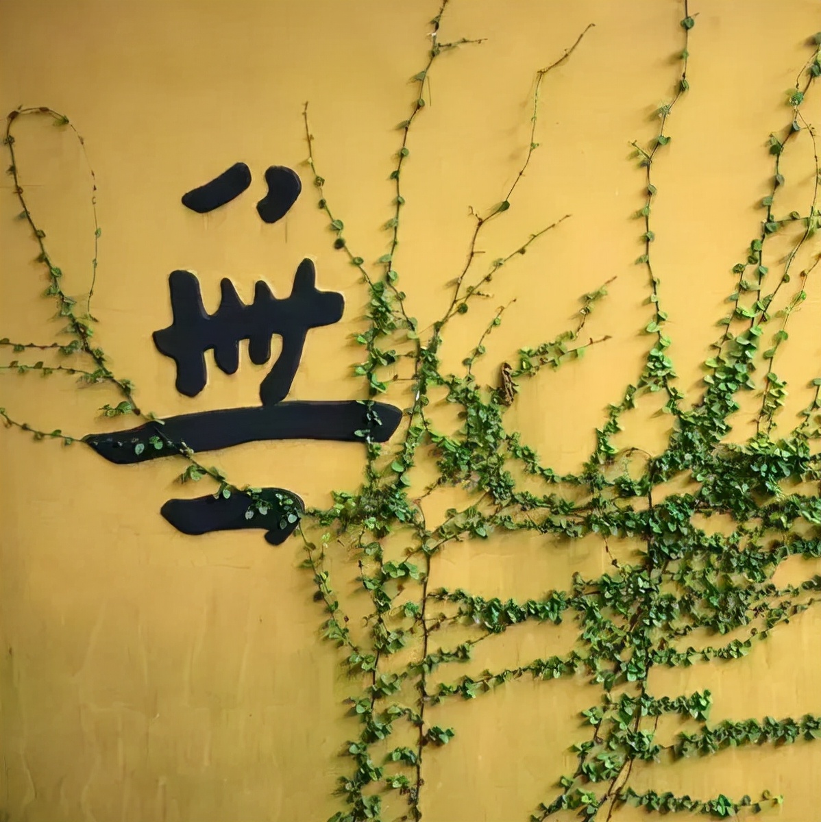 古人如何克服难题的情绪,古人如何解决心理问题