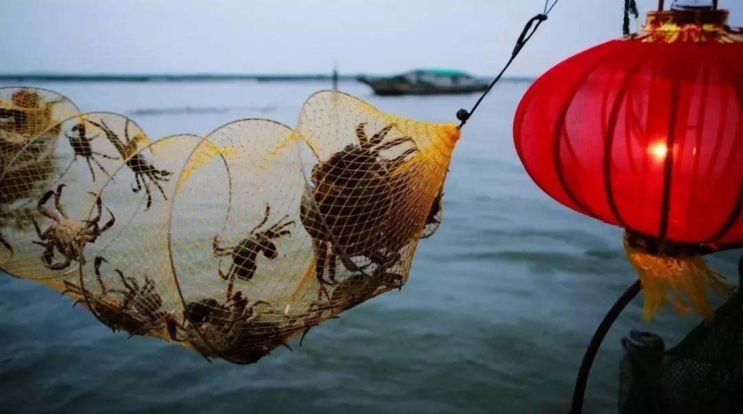 2018年苏州房价走势大预测,苏州2018年房价走势图