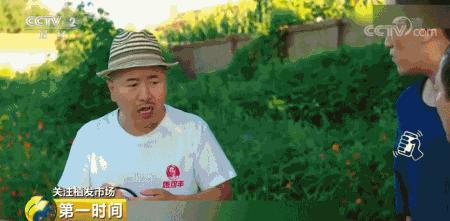 2.5亿脱发人口造就百亿植发生意，不过，动刀的可能是3天速成医师