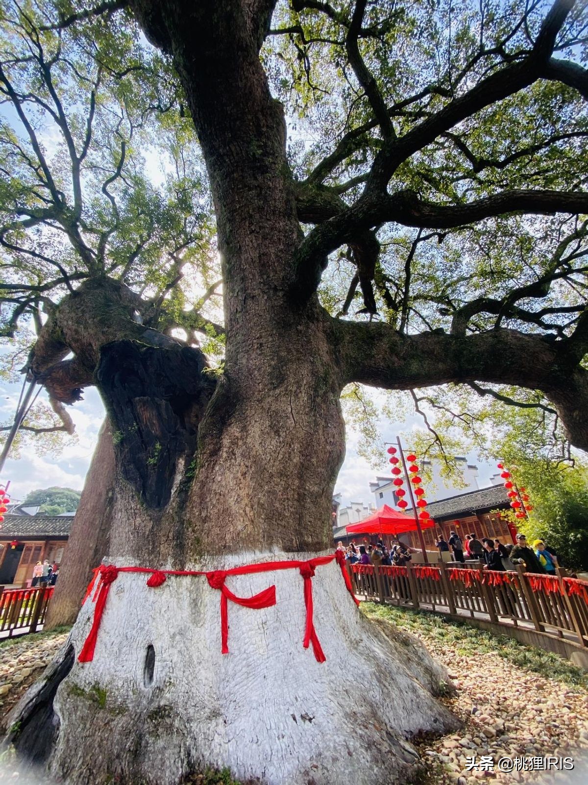 歙县特产卖什么比较好,安徽歙县哪里卖土特产