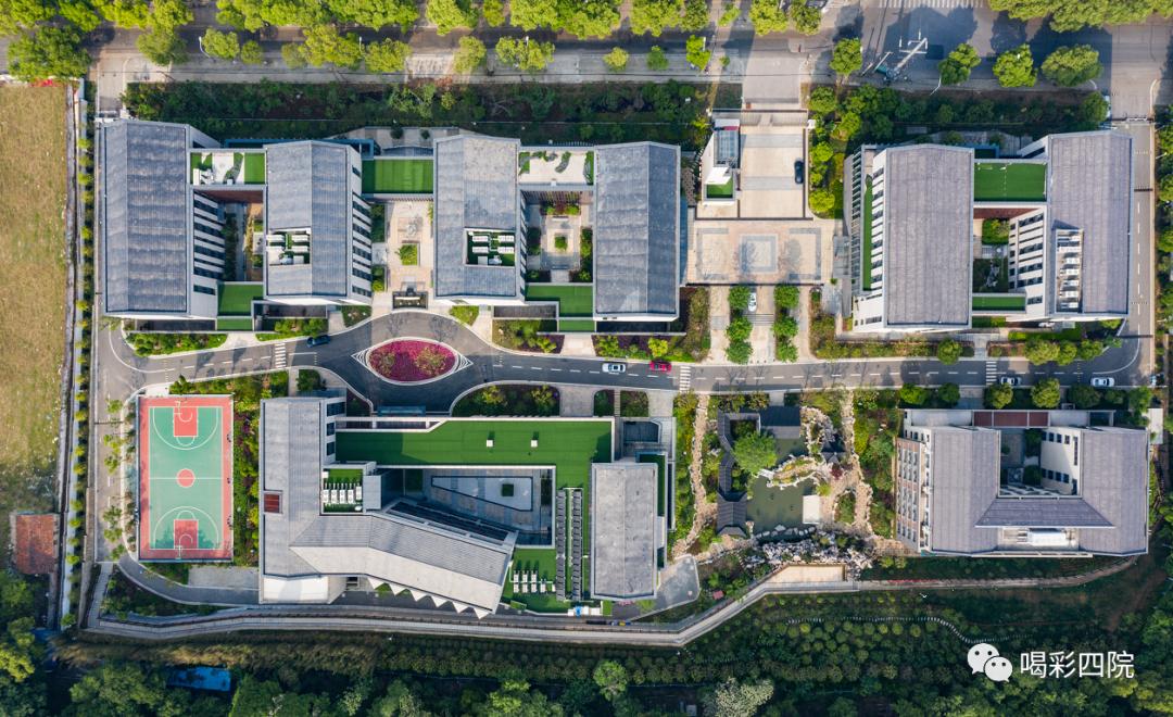 十八岁后常青依旧