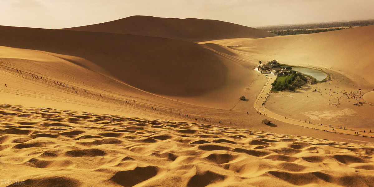 极度恐慌全集,极度恐慌真实事件