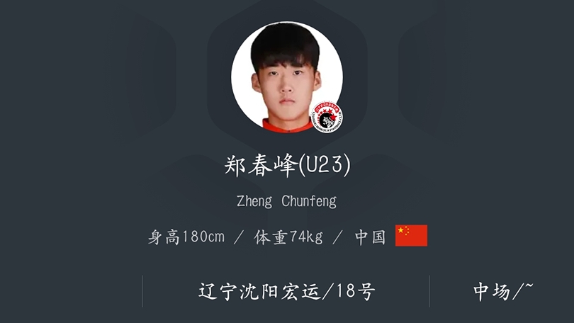 辽宁宏运中甲表现,中甲联赛辽宁宏运