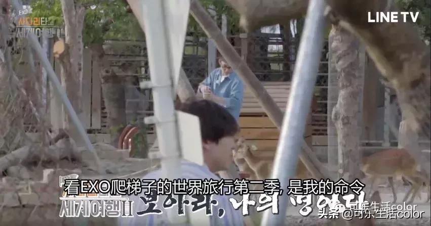 exo团综最新消息,exo综艺爬梯子世界旅行3