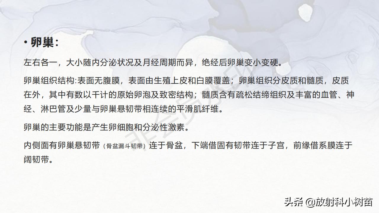 女性盆腔mri解剖图谱,泌尿生殖系统x线解剖