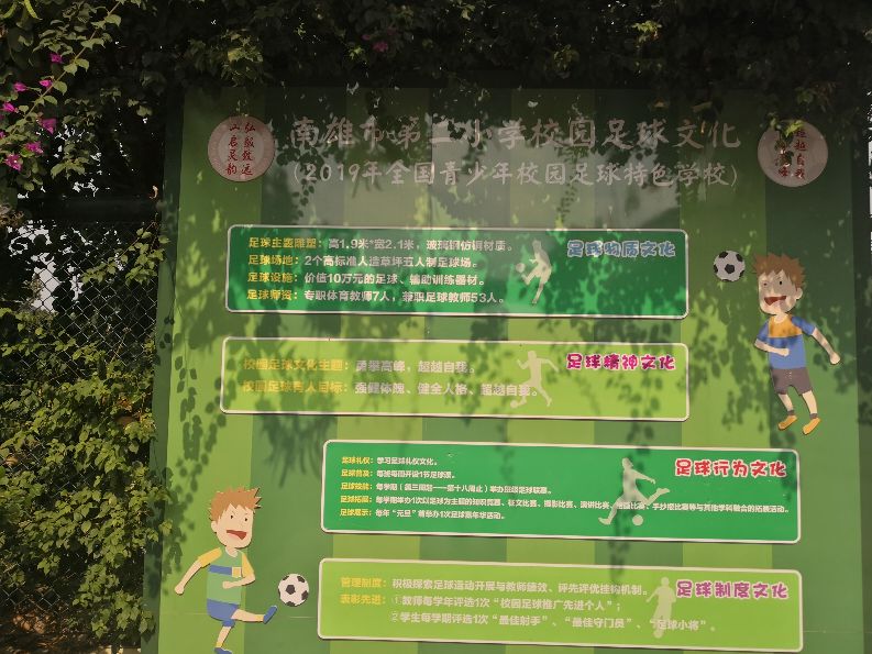 特色少年足球学校,小学校园足球特色