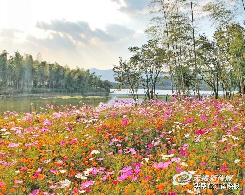 此心安处是吾乡杨之楹,此心安处是吾乡尹恒斌