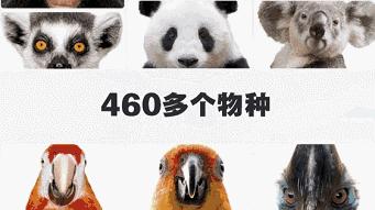 广州长隆野生动物世界游览图,广东广州长隆野生动物世界