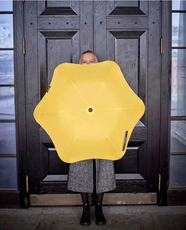 伞小众雨伞,雨伞高颜值ins长柄伞