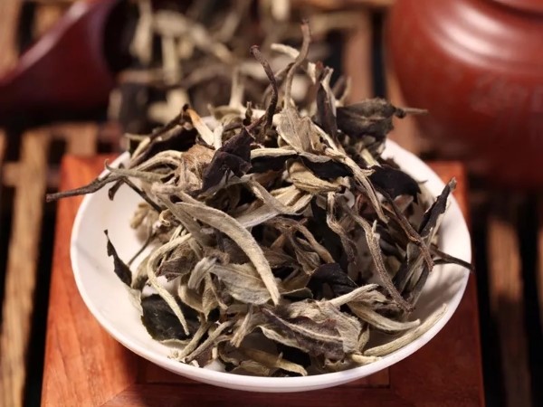 木地板回南天怎么防潮,回南天防潮小妙招直播