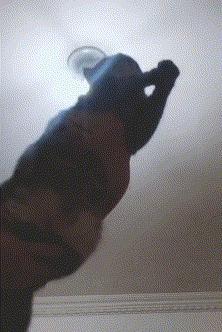 南方养猫跟北方养猫什么区别,北方养猫为什么比南方好