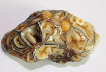 新石种大全,最新发现的石种