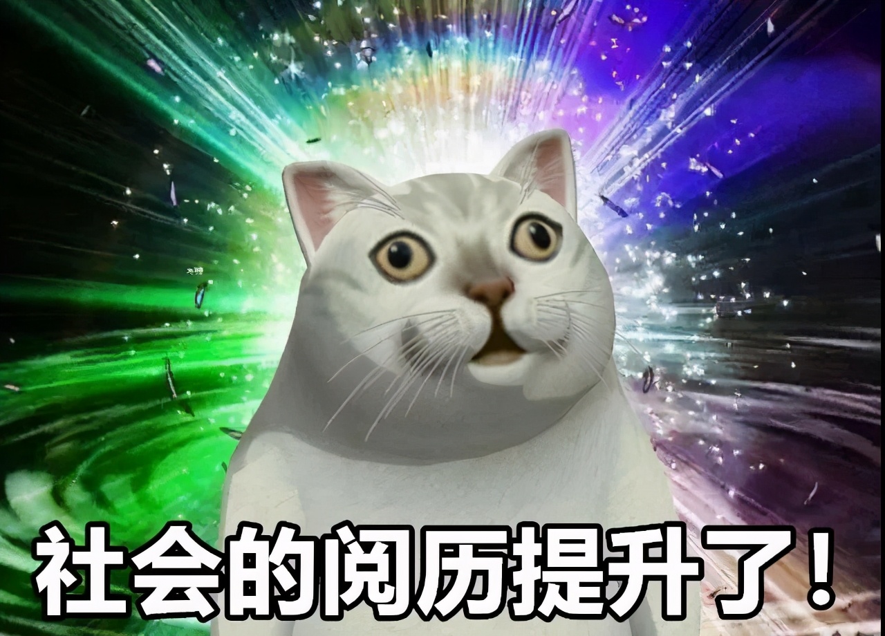 一集18分钟全程高能，这黑马竟然糊了？