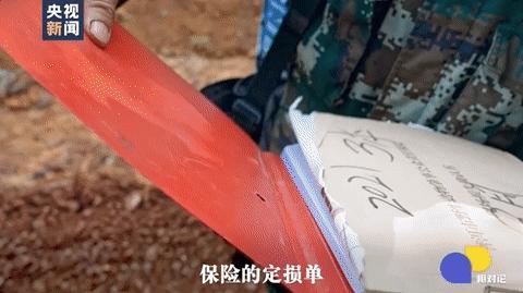 遇到野象攻击,遇到野象为什么要下车