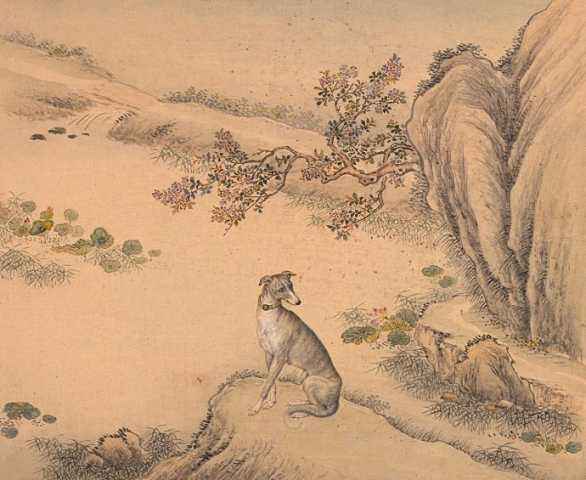 中国十骏犬图集,清朝十骏犬图都是啥品种