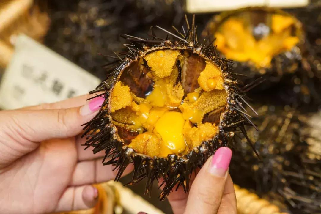 天津蒸汽海鲜,蒸汽海鲜吃到爽