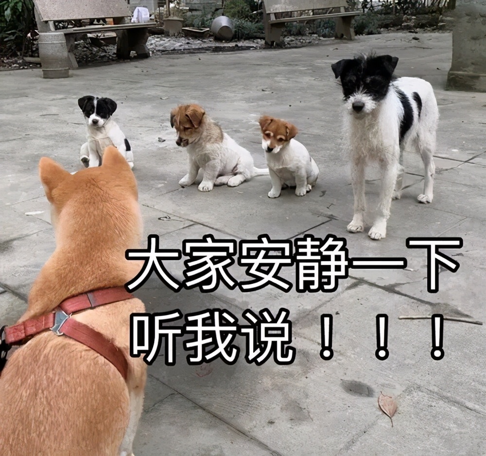 一家人感染症状不一样会传染吗,这种病进入高发期家长们千万警惕