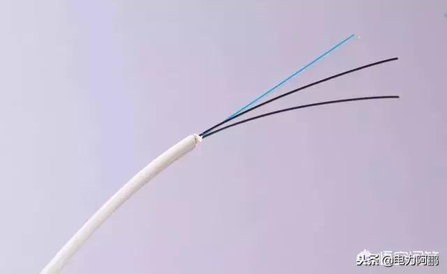 光纤100m和100m宽带区别,电信申请多条宽带