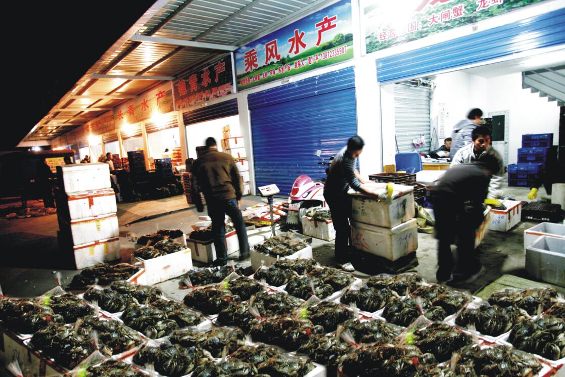 湖北洪湖蟹,洪湖市第一大镇